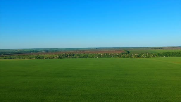 Campo de arroz verde ilimitado contra aldeia distante por colinas pictóricas — Vídeo de Stock