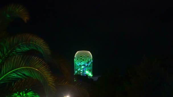 Structure architecturale inhabituelle, feuilles de palmier dans le cadre, nuit — Video