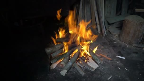Lagerfeuer mit leuchtend gelber Flamme — Stockvideo