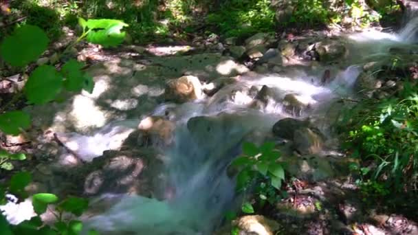 Tiszta hegyi tavaszi áramló mélyen a hegyekben — Stock videók