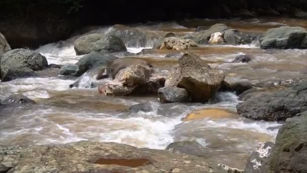 Горная река со скалами и валунами — стоковое видео