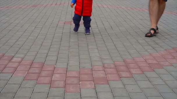 Baby with dad walking in the park — Stock Video