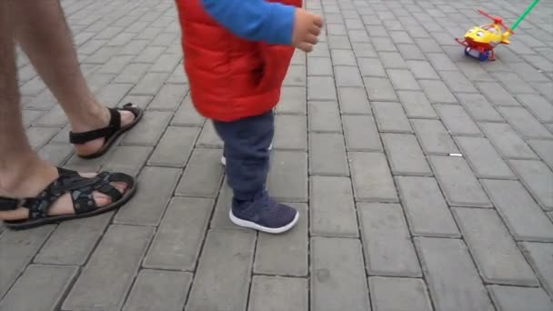 Bebé con papá caminando en el parque — Vídeo de stock