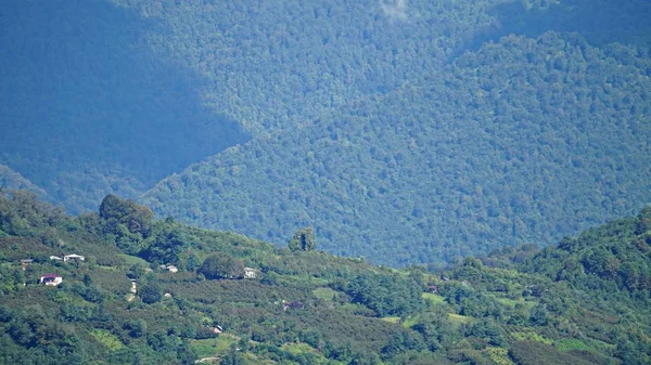Dağ tepe aralığı manzara. Yeşil dağ manzarası. Dağ tepe mavi gökyüzü beyaz bulutlar panorama