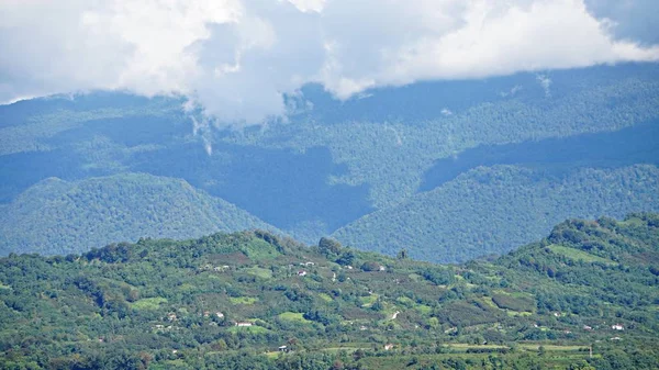 Dağ tepe aralığı manzara. Yeşil dağ manzarası. Dağ tepe mavi gökyüzü beyaz bulutlar panorama