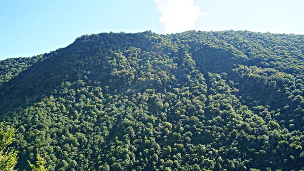 山のピークの範囲の風景。緑の山脈の眺め。山ピークの青い空白い雲のパノラマ — ストック写真