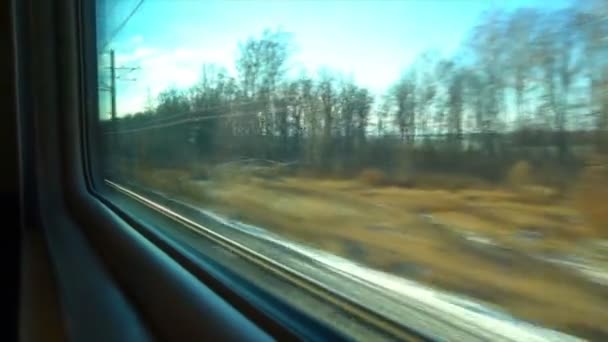 4K Ponto de vista da janela de um comboio de passageiros. A floresta deserta de inverno se move fora da janela — Vídeo de Stock