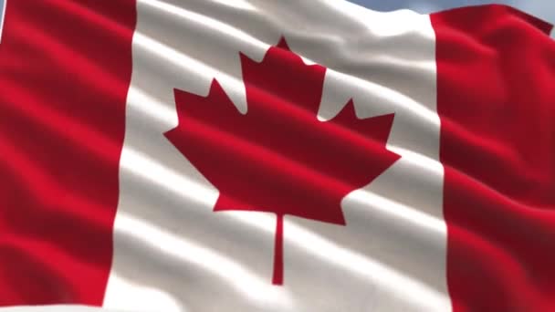 Bandeira Canadá Acenando Céu Azul Vídeo — Vídeo de Stock