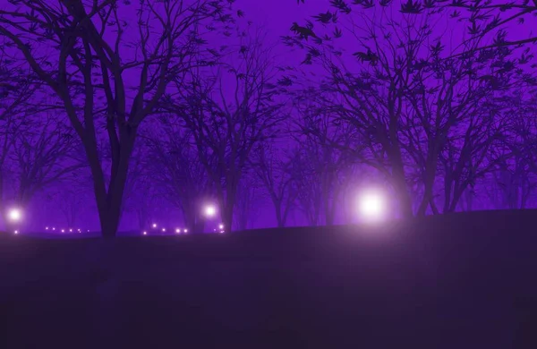 Abstrakter Hintergrund Dunkler Waldhintergrund Der Nacht Nebel Mondschein — Stockfoto