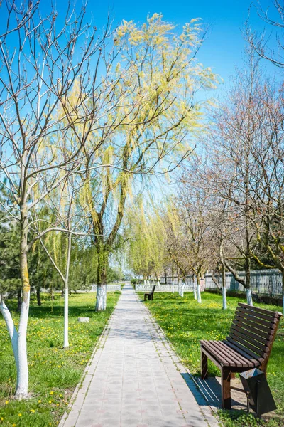 dükkan yayalar için yol boyunca