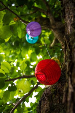 fener farklı renkteki ağaç süslemek