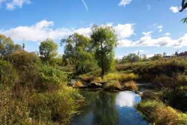 Dışında şehrin hangi ördek yüzmek temiz nehir geçiyor