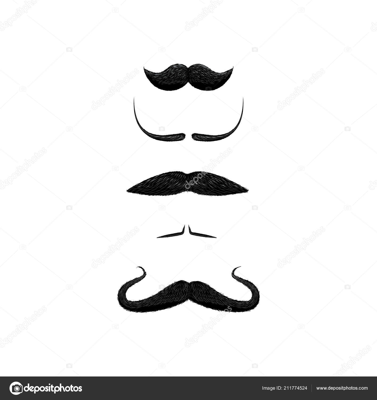 Set Different Styles Mustache Isolated White Background Dali Handler Filleted Stock Vector Image By C Radistmorze Set Different Styles Mustache Isolated White Background Dali Handler Filleted Stock Vector Image By C Radistmorze