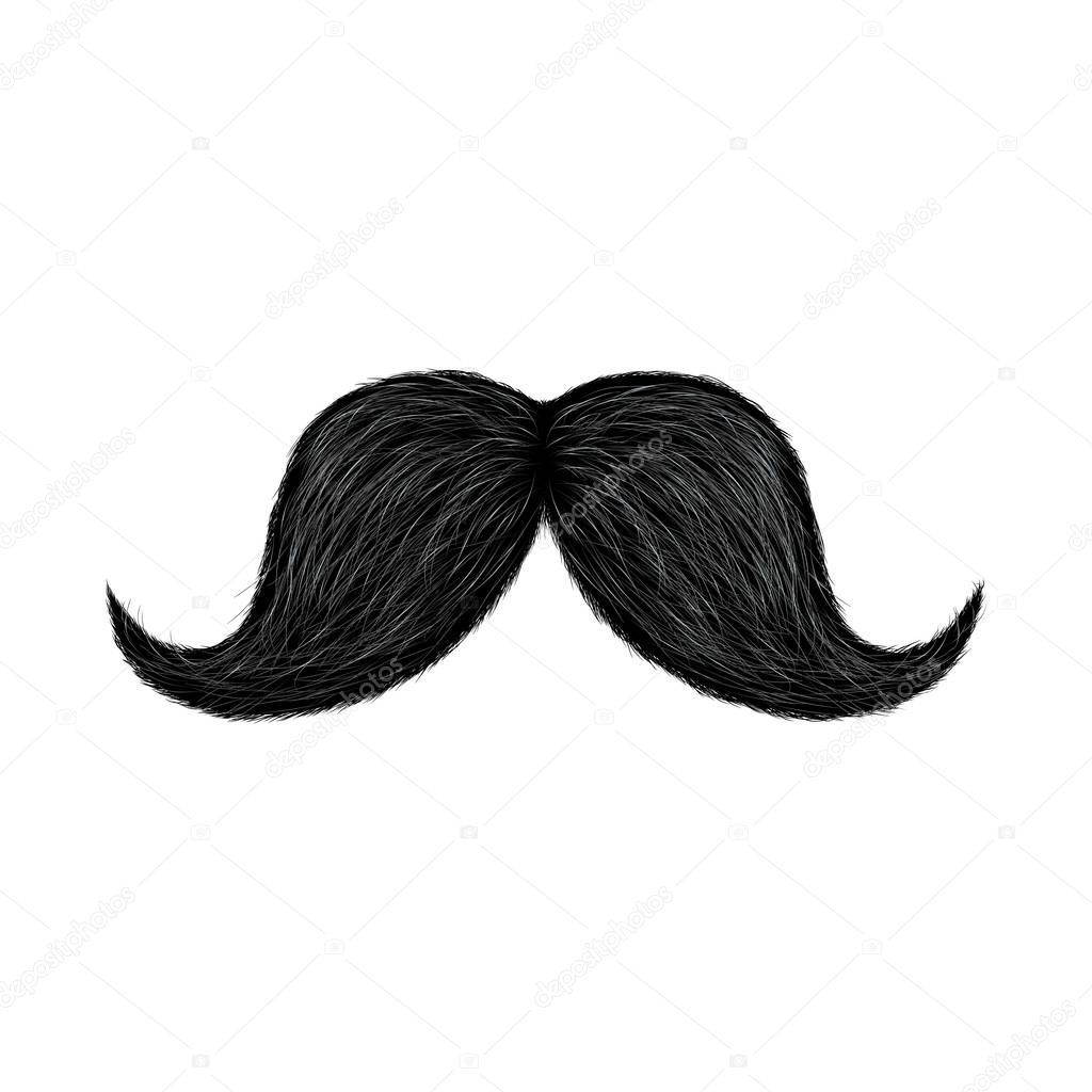 Walrus mustaches isolated on white background. Hand-drawn Vector Illustration.