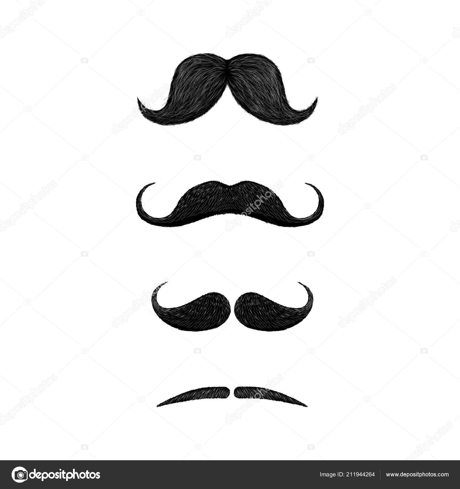 Set Different Styles Mustache Isolated White Background Walrus English Handlebar Stock Vector Image By C Radistmorze Set Different Styles Mustache Isolated White Background Walrus English Handlebar Stock Vector Image By C Radistmorze