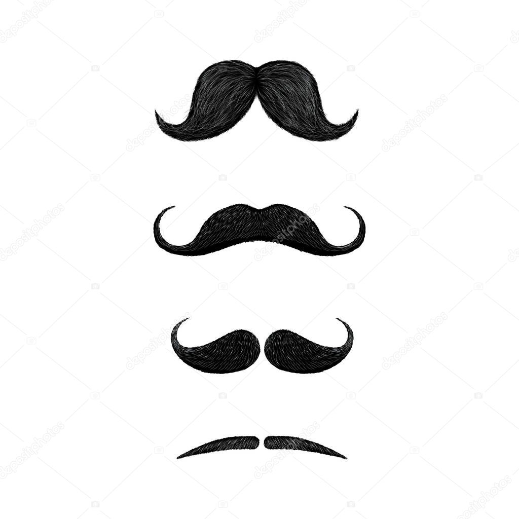 Set of different styles of mustache isolated on white background. Walrus, english, handlebar, pencil style mustache .