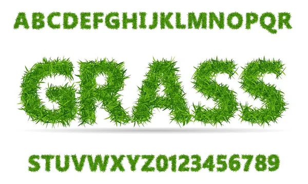 녹색 잔디는 폰트입니다. 흰색 바탕에 숫자와 잔디 질감 알파벳. — 스톡 벡터