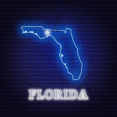 Neon harita Florida Eyaleti bir tuğla duvar arka plan üzerinde.