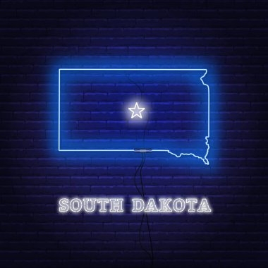 Neon haritası Güney Dakota'nın tuğla duvar arka planı üzerinde durumu.