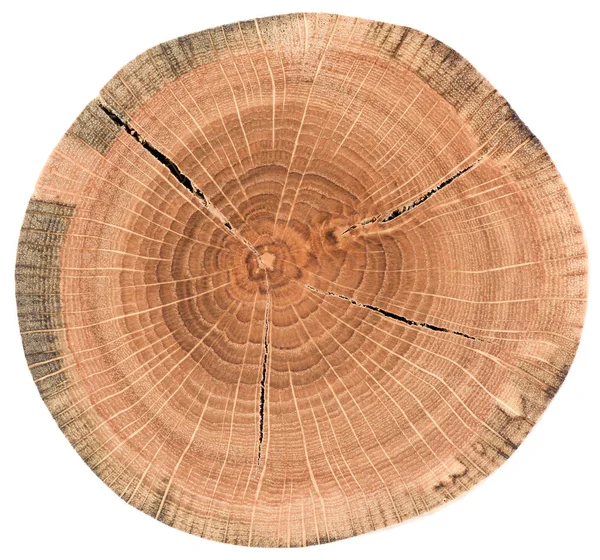 Piece of circular wood cross section with cracks and tree growth rings. Oak tree slice texture isolated on white background overhead view