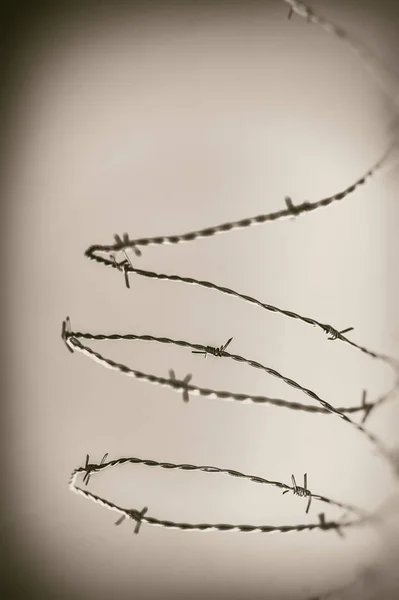 Stacheldraht Schwarz Weiß — Stockfoto