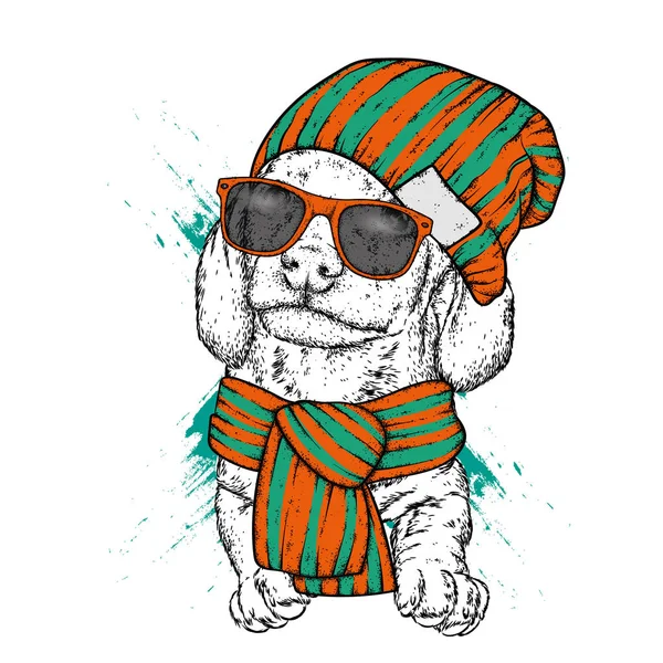 Perro Hipster Con Sombrero Bufanda Gafas Cachorro Con Ropa Elegante — Archivo Imágenes Vectoriales