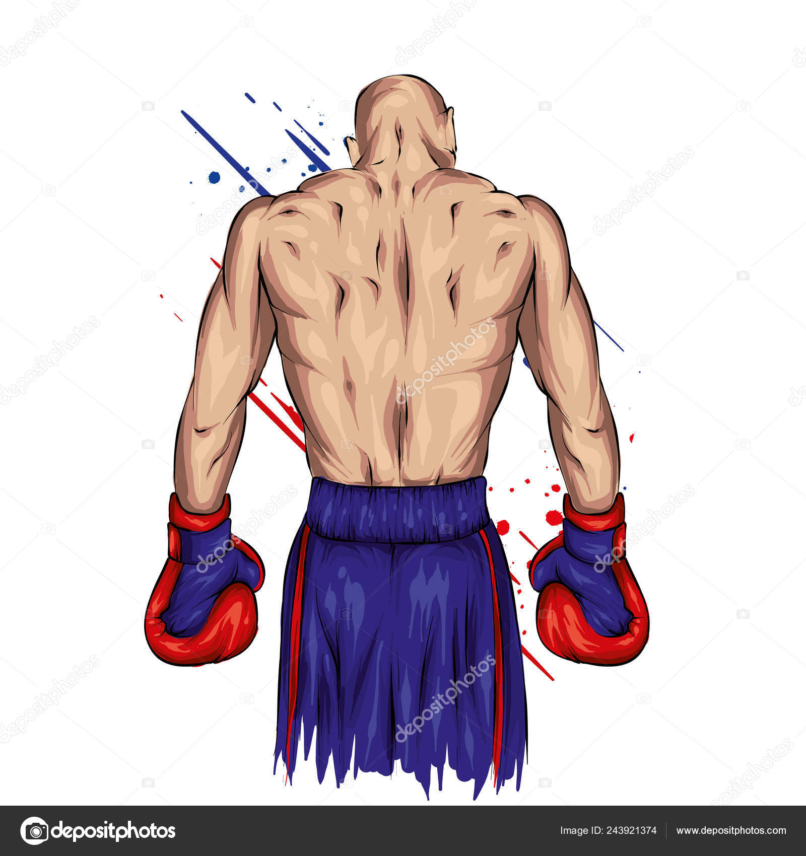 Pequeño y lindo boxeador que usa: vector de stock (libre de regalías)  2137797387