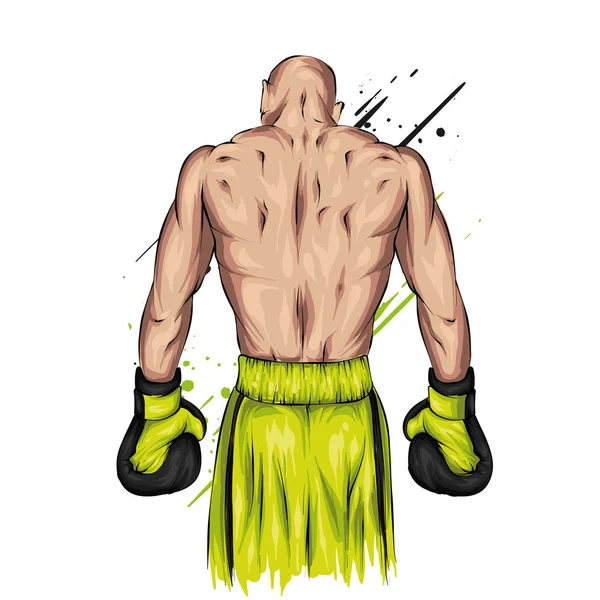 Boxer Kurzen Hosen Und Handschuhen Männlicher Sportler Vektor Illustration Für — Stockvektor