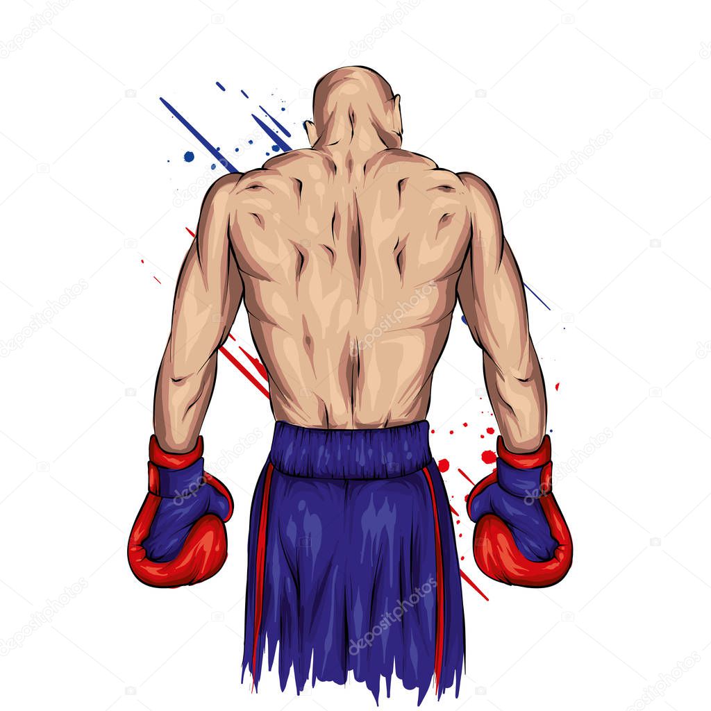 Boxer in shorts and gloves. Male athlete. Vector illustration for greeting card or poster. Sport, fight, athlete ready for battle. Sportsman.