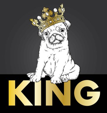 A beautiful pug in the crown. Vector illustration for a postcard or a poster, print for clothes. Dog hipster in clothes. Fashion & Style. Funny puppy. vector