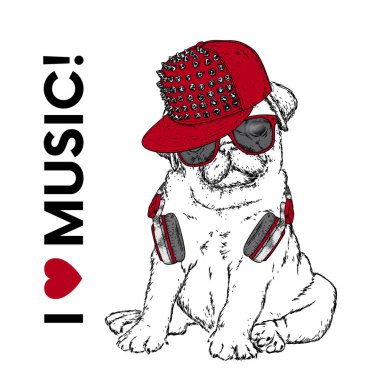 Kulaklık ve şapka takan bir köpek. Vektör çizimi. Müziği. Soylu köpek. Yakışıklı bir köpek..