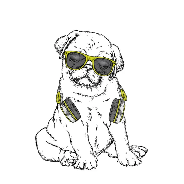 Pug Headphones Cap Vector Illustration Music Pedigree Dog Handsome Puppy — Stock Vector