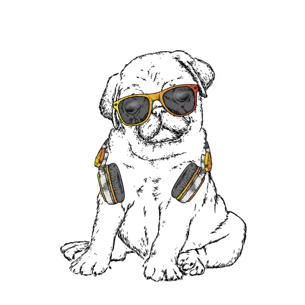 Pug Fones Ouvido Boné Ilustração Vetorial Música Cão Pedigree Cachorrinho — Vetor de Stock