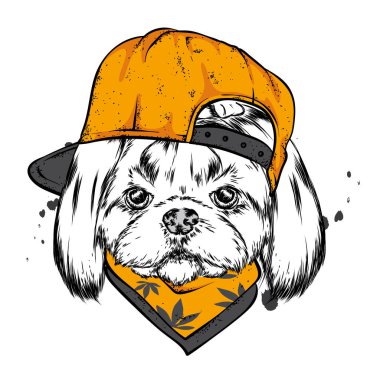 Şapkalı, gözlüklü komik köpek. Safkan köpek yavrusu. Vektör çizimi. Hippi köpek..