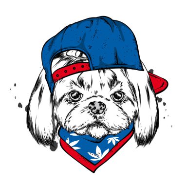 Şapkalı, gözlüklü komik köpek. Safkan köpek yavrusu. Vektör çizimi. Hippi köpek..