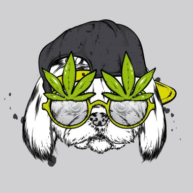 Şapkalı, gözlüklü komik köpek. Safkan köpek yavrusu. Vektör çizimi. Hippi köpek..