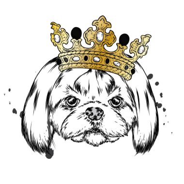 Çok güzel bir köpek yavrusu. Elbise ve aksesuar giymiş bir köpek. Vektör çizimi. Hippi köpek..