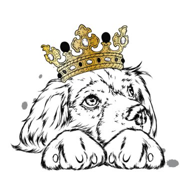 Çok güzel bir köpek yavrusu. Elbise ve aksesuar giymiş bir köpek. Vektör çizimi. Hippi köpek..