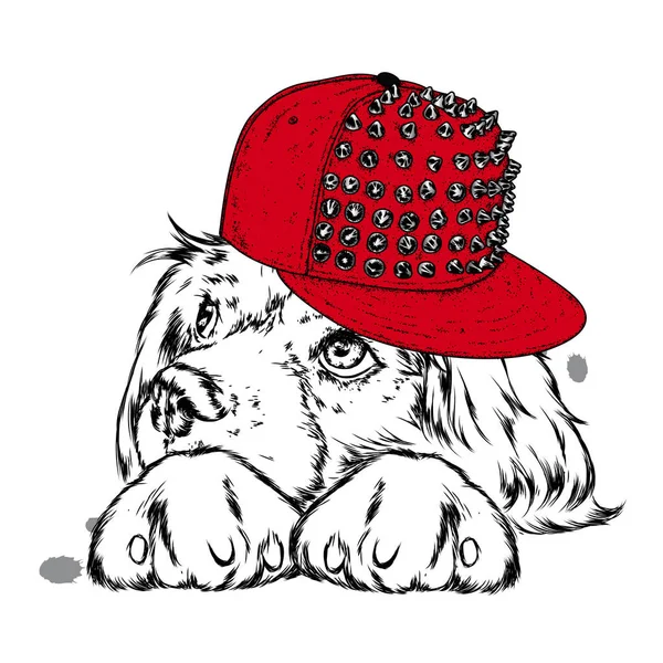 Ένας Σκύλος Καπέλο Και Γυαλιά Χέμπ Ναρκωτικά Και Βουητό Παγκ — Διανυσματικό Αρχείο