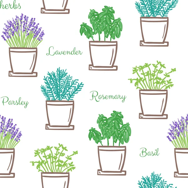 Ervas Jardim Descanso Vasos Padrão Sem Costura Desenhado Mão — Vetor de Stock
