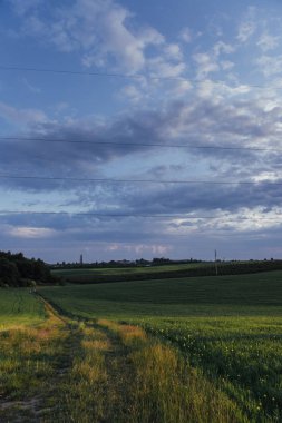 Buğday alan fantastik günbatımı.