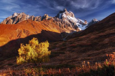 Sonbahar manzara ve karlı dağ zirveleri. Huş ağacı orman güneş ışığı altında. Ana Kafkas Ridge. Mountain View Dağı dır Mheyer, Gürcistan Avrupa'dan