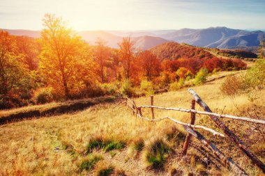 Sonbahar sezonu Karpat dağlarında dağ. Fantastik günbatımı. Ukrayna, Europe.