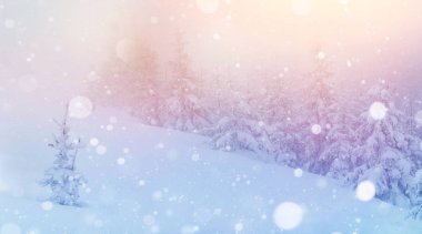 Kışın gizemli kış manzara görkemli dağlar. Sihirli kış kar kaplı ağaç. Fotoğraf tebrik kartı. Bokeh ışık efekti, yumuşak filtre. Karpat. Ukrayna. Europe