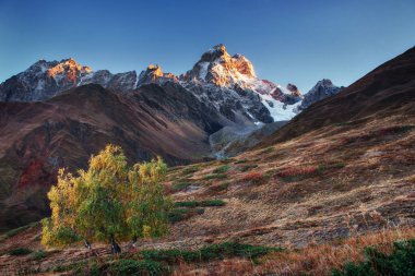 Sonbahar manzara ve karlı dağ zirveleri. Huş ağacı orman güneş ışığı altında. Ana Kafkas Ridge. Mountain View Dağı dır Mheyer, Gürcistan Avrupa'dan