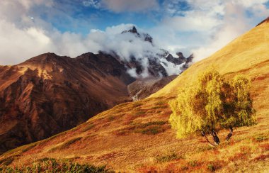 Kalın sis Dağı geçidinde Goulet. Georgia, Svaneti. Avrupa. Kafkas Dağları