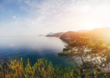Panoramik deniz kıyısında. Güzellik dünya. Türkiye