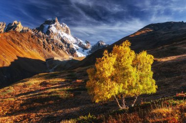 Sonbahar manzara ve güneşin karlı zirveleri. Ana Kafkas Ridge. Mountain View Dağı dır Mheyer, Gürcistan'dan. Europe