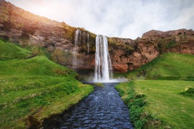 Seljalandfoss şelale. Güzel yaz güneşli gün İzlanda Avrupa