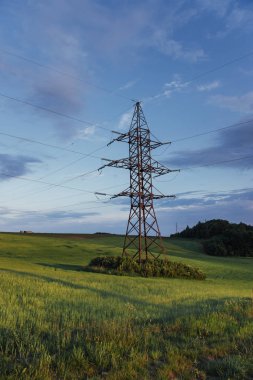 Buğday alan fantastik günbatımı.